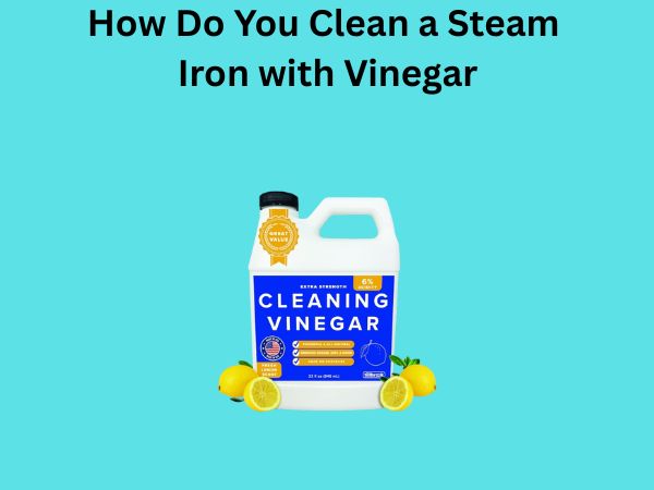 How Do You Clean a Steam Iron with Vinegar