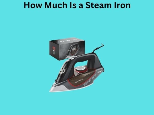 How Much Is a Steam Iron