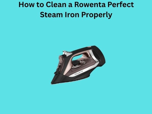 How to Clean a Rowenta Perfect Steam Iron Properly