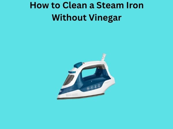 How to Clean a Steam Iron Without Vinegar