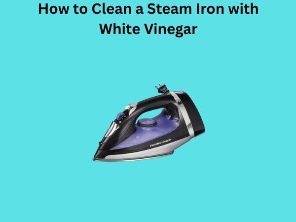 How to Clean a Steam Iron with White Vinegar